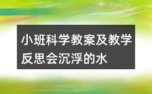 小班科學(xué)教案及教學(xué)反思——會沉浮的水果