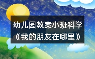 幼兒園教案小班科學《我的朋友在哪里》