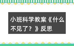 小班科學(xué)教案《什么不見了？》反思