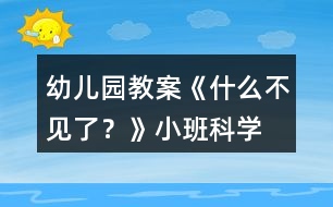 幼兒園教案《什么不見了？》小班科學(xué)