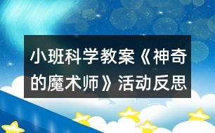 小班科學(xué)教案《神奇的魔術(shù)師》活動反思