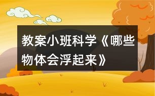 教案小班科學(xué)《哪些物體會浮起來》