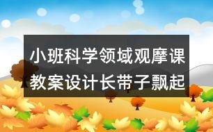 小班科學(xué)領(lǐng)域觀摩課教案設(shè)計(jì)長(zhǎng)帶子飄起來反思