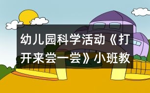 幼兒園科學活動《打開來嘗一嘗》小班教案