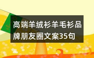 高端羊絨衫、羊毛衫品牌朋友圈文案35句