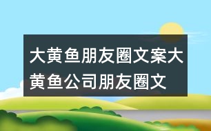 大黃魚朋友圈文案、大黃魚公司朋友圈文案32句