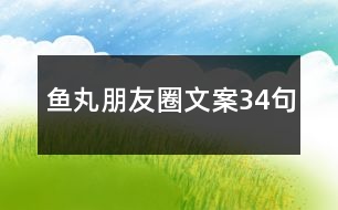 魚(yú)丸朋友圈文案34句