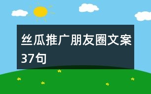 絲瓜推廣朋友圈文案37句