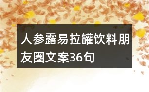 人參露易拉罐飲料朋友圈文案36句