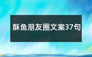 酥魚(yú)朋友圈文案37句