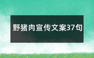 野豬肉宣傳文案37句