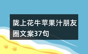 隴上花牛蘋果汁朋友圈文案37句