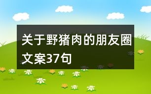 關于野豬肉的朋友圈文案37句