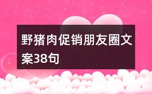 野豬肉促銷(xiāo)朋友圈文案38句