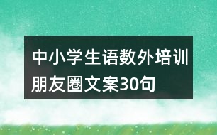 中小學(xué)生語數(shù)外培訓(xùn)朋友圈文案30句