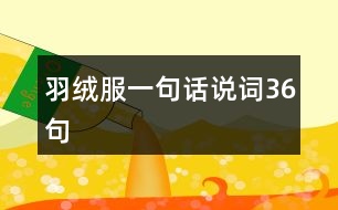 羽絨服一句話說詞36句