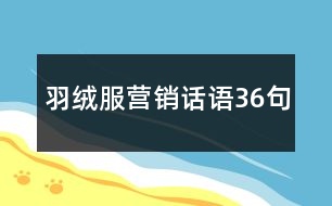 羽絨服營(yíng)銷話語(yǔ)36句