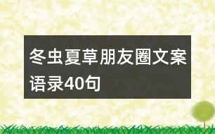 冬蟲夏草朋友圈文案語錄40句