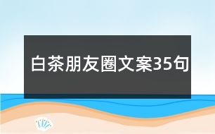 白茶朋友圈文案35句