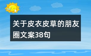 關(guān)于皮衣皮草的朋友圈文案38句