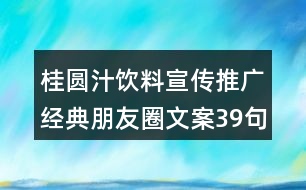 桂圓汁飲料宣傳推廣經典朋友圈文案39句