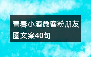 青春小酒微客粉朋友圈文案40句