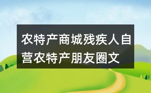 農(nóng)特產(chǎn)商城、殘疾人自營農(nóng)特產(chǎn)朋友圈文案38句