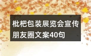 枇杷包裝、展覽會宣傳朋友圈文案40句