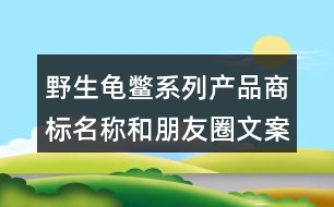 野生龜鱉系列產(chǎn)品商標(biāo)名稱和朋友圈文案36句