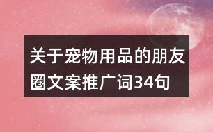 關(guān)于寵物用品的朋友圈文案、推廣詞34句