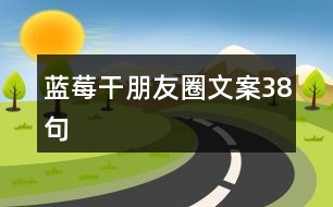 藍莓干朋友圈文案38句