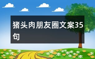 豬頭肉朋友圈文案35句