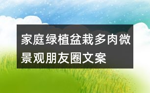 家庭綠植盆栽、多肉、微景觀朋友圈文案40句