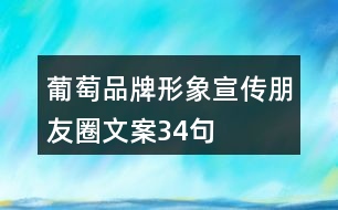 葡萄品牌形象宣傳朋友圈文案34句