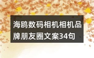 海鷗數(shù)碼相機相機品牌朋友圈文案34句