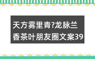 天方霧里青?龍脈蘭香茶葉朋友圈文案39句