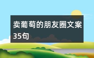 賣葡萄的朋友圈文案35句