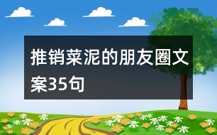 推銷菜泥的朋友圈文案35句