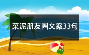 菜泥朋友圈文案33句