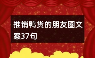 推銷鴨貨的朋友圈文案37句