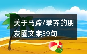 關于馬蹄/荸薺的朋友圈文案39句