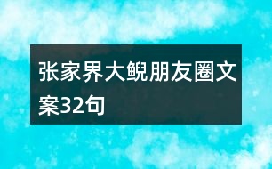 張家界大鯢朋友圈文案32句