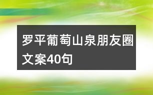 羅平葡萄山泉朋友圈文案40句