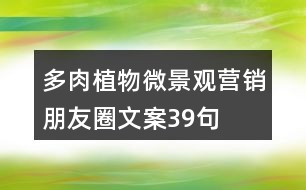 多肉植物微景觀營銷朋友圈文案39句