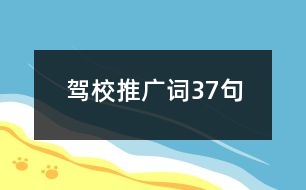 駕校推廣詞37句