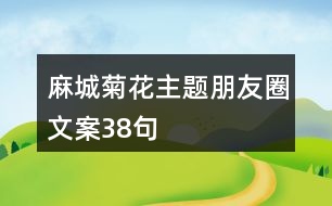 麻城菊花主題朋友圈文案38句