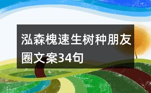 泓森槐速生樹(shù)種朋友圈文案34句