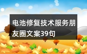 電池修復(fù)技術(shù)服務(wù)朋友圈文案39句