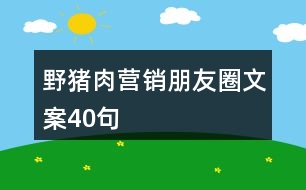 野豬肉營(yíng)銷(xiāo)朋友圈文案40句