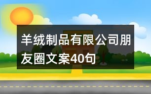 羊絨制品有限公司朋友圈文案40句